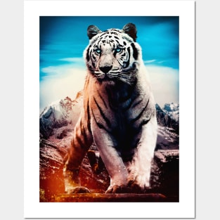 White Tiger Blue Eyes vector Posters and Art